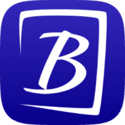 Bitzamo logo